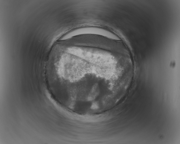 X0000116590010200912312045