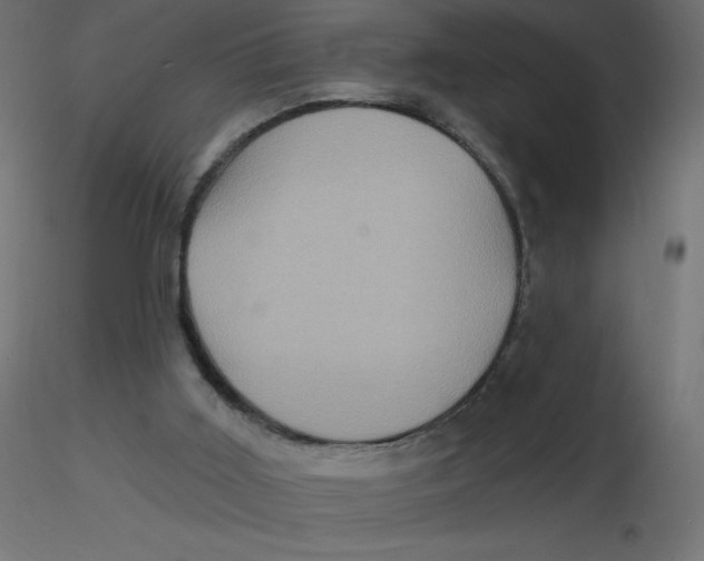 X0000116590011200912312045