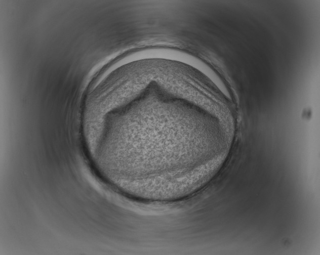 X0000116590012200912312045