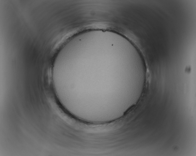 X0000116590013200912312045