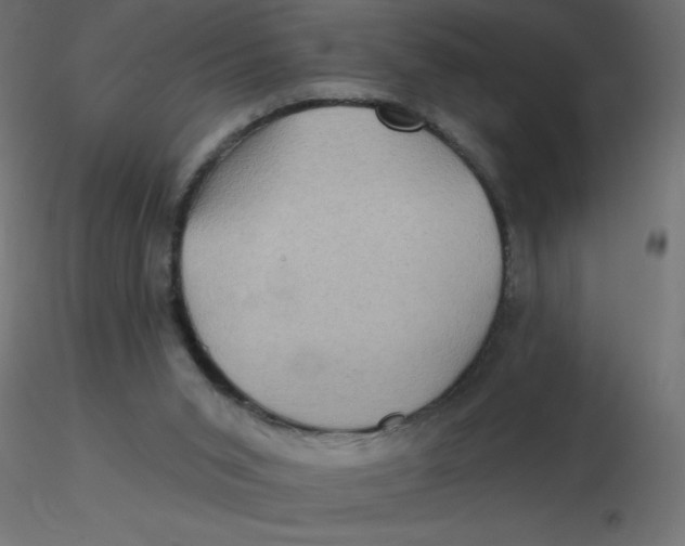 X0000116590015200912312045