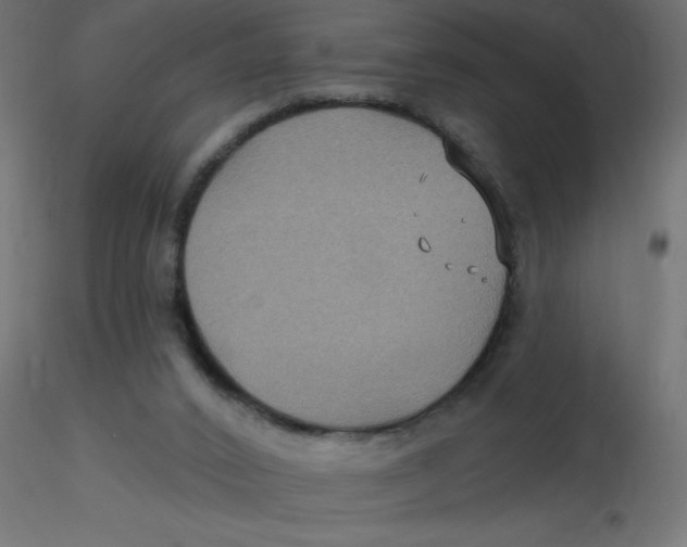 X0000116590016200912312045