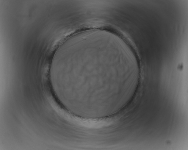 X0000116590018200912312045