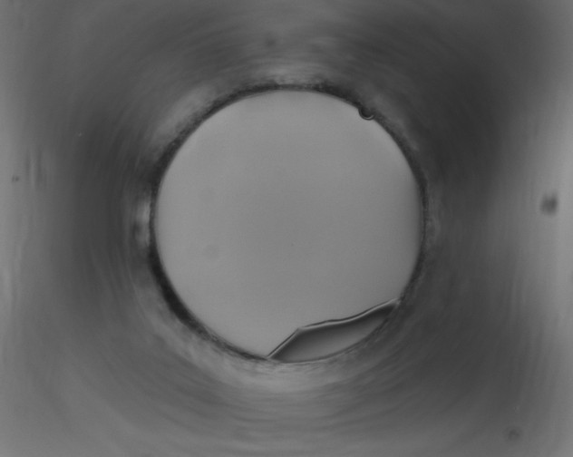 X0000116590019200912312045