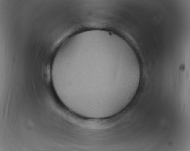 X0000116590020200912312045