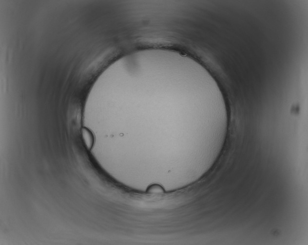 X0000116590021200912312045