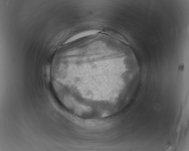 X0000116590022200912312045