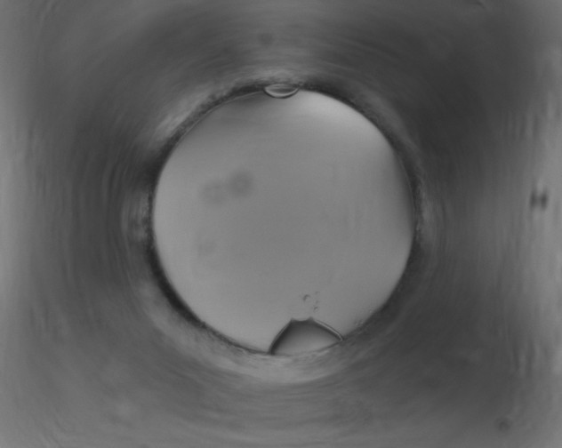 X0000116590023200912312045