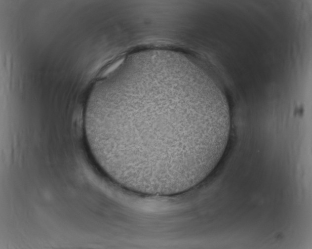 X0000116590024200912312045