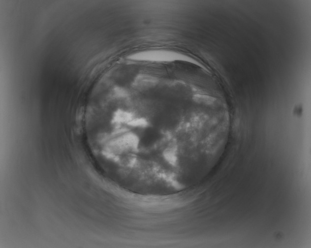 X0000116590026200912312045