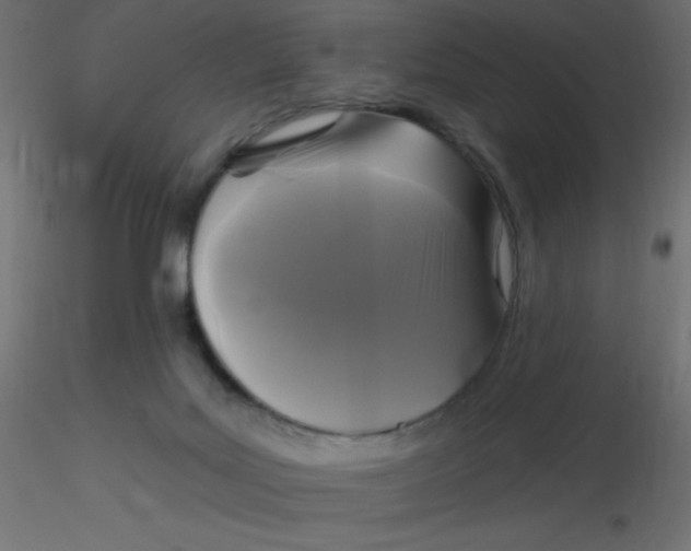 X0000116590027200912312045