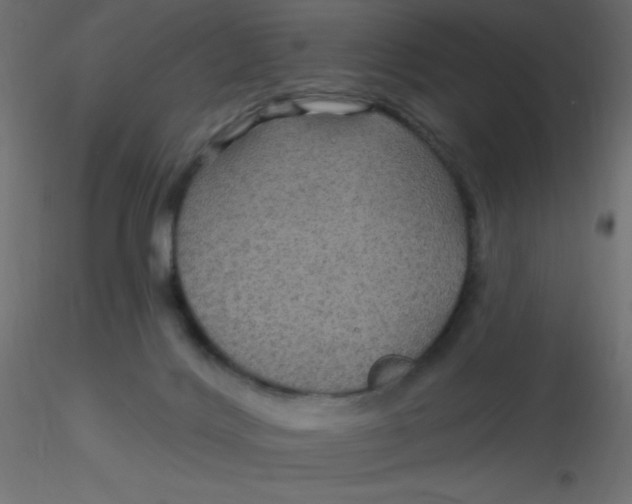 X0000116590028200912312045