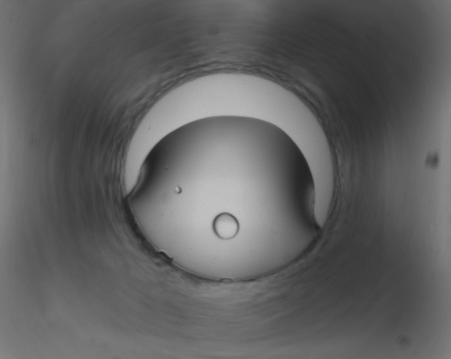 X0000116590029200912312045