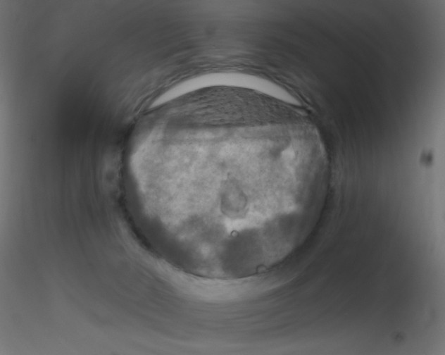 X0000116590030200912312045