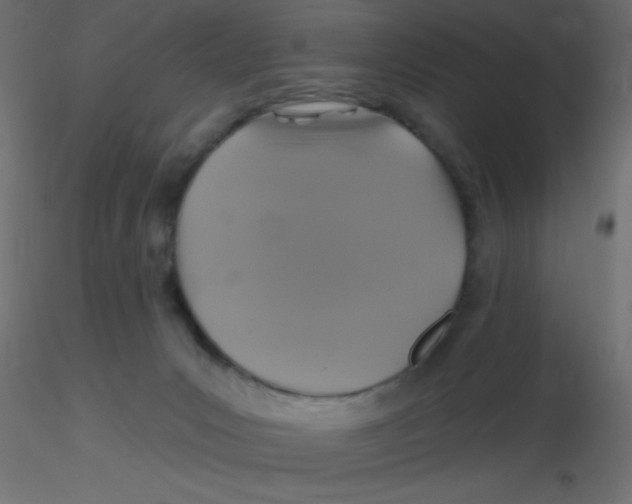 X0000116590031200912312045