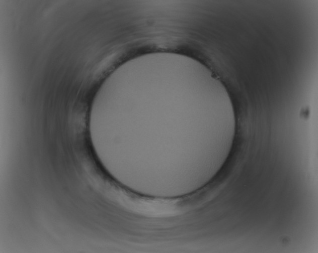 X0000116590032200912312045