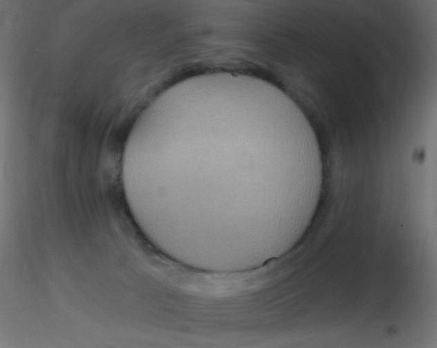 X0000116590033200912312045