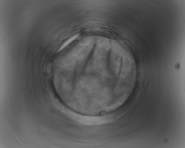 X0000116590034200912312045