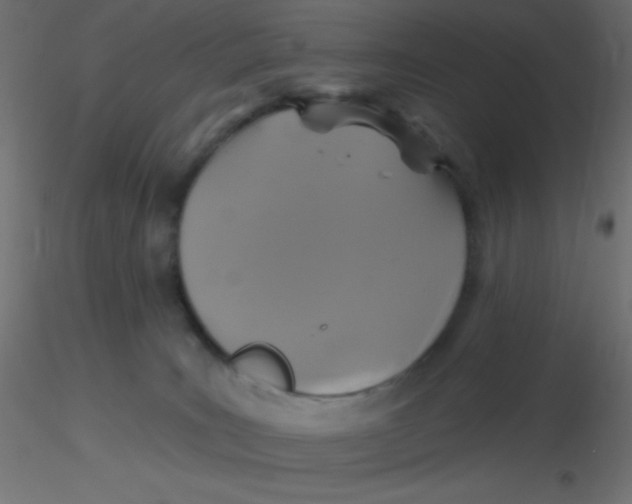 X0000116590035200912312045