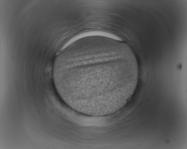 X0000116590036200912312045