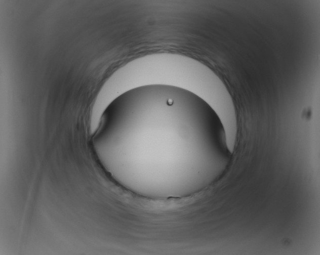 X0000116590037200912312045