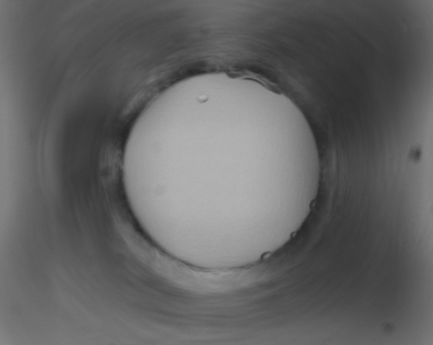 X0000116590038200912312045