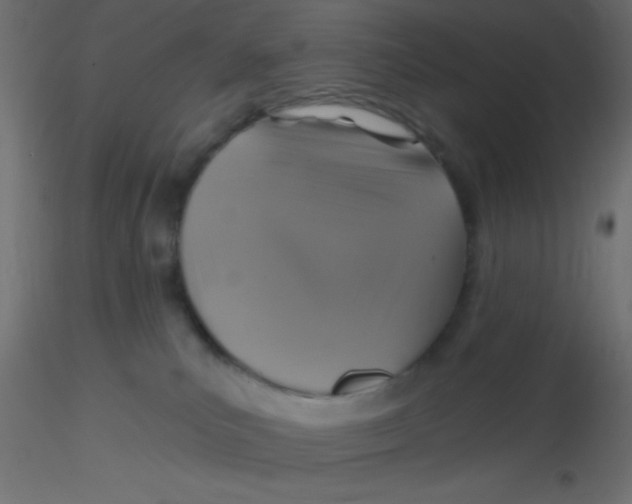 X0000116590039200912312045