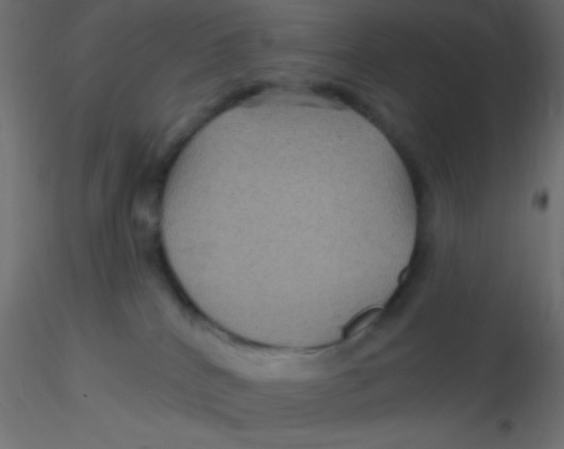 X0000116590040200912312045