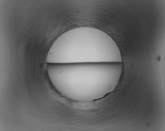 X0000116590041200912312045