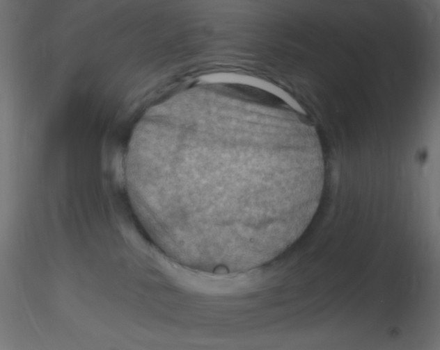 X0000116590042200912312045