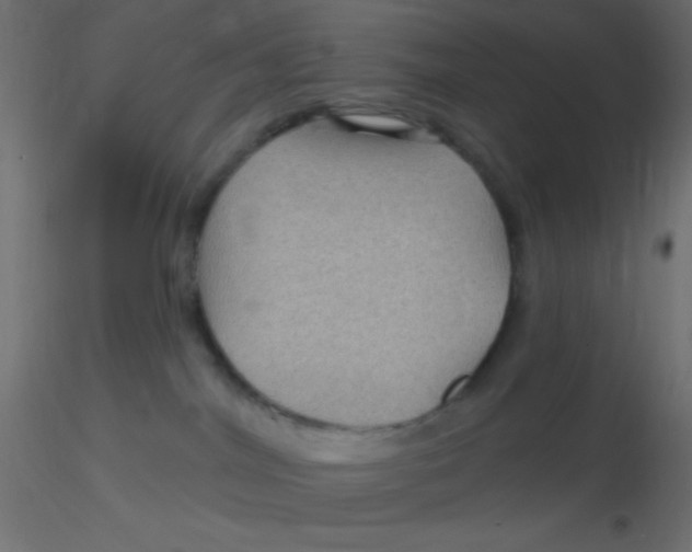 X0000116590044200912312045