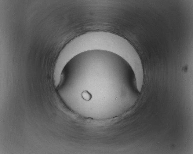 X0000116590045200912312045