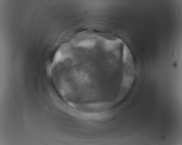 X0000116590046200912312045