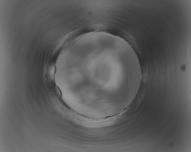 X0000116590047200912312045