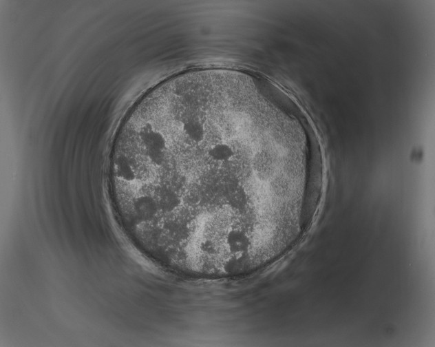 X0000116590049200912312044