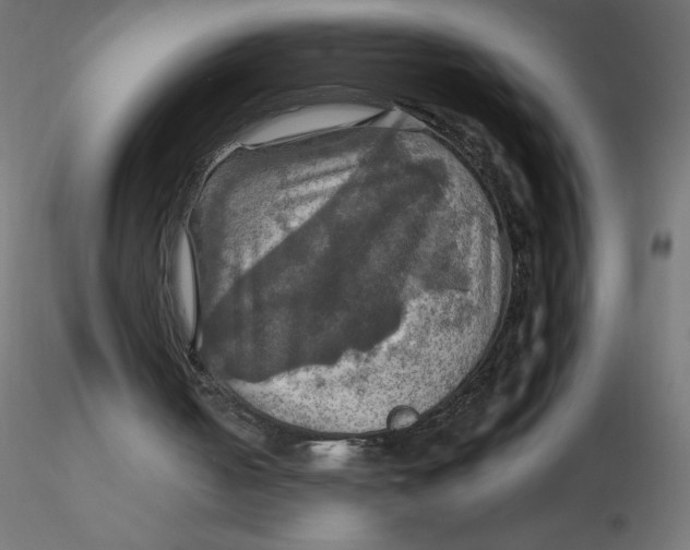 X0000116590050200912312044