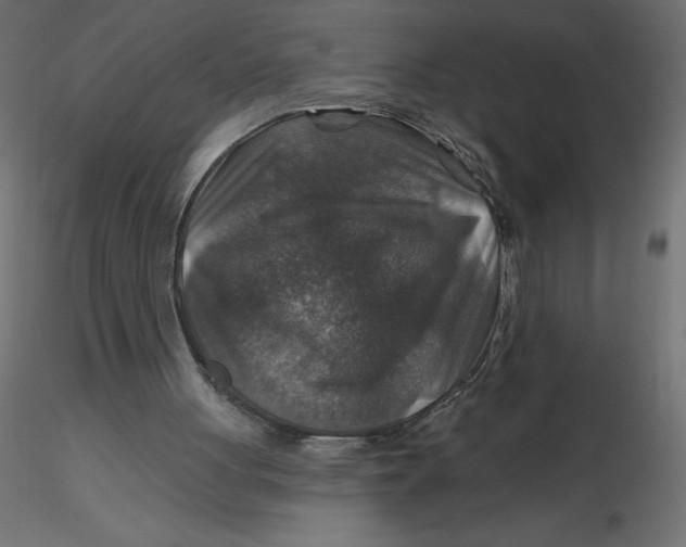 X0000116590051200912312044