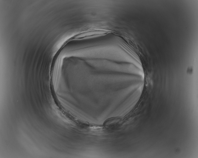 X0000116590052200912312044