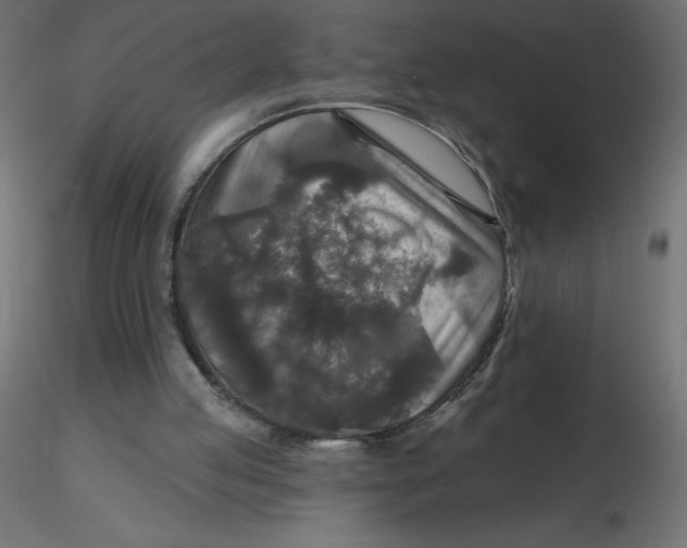 X0000116590053200912312044