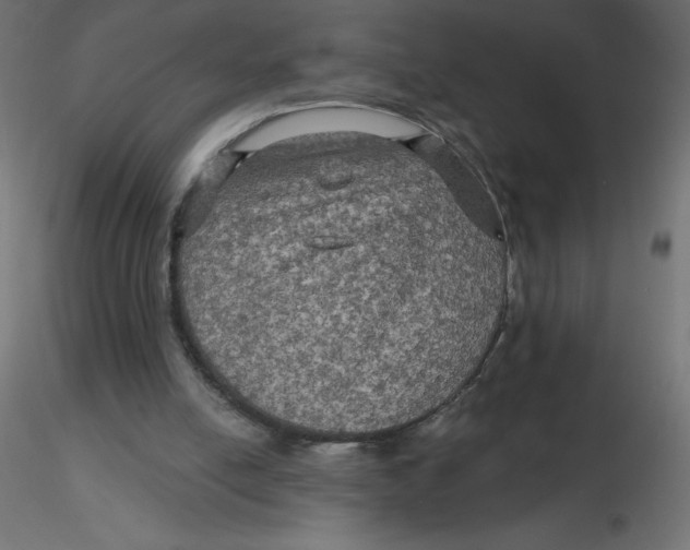 X0000116590054200912312044