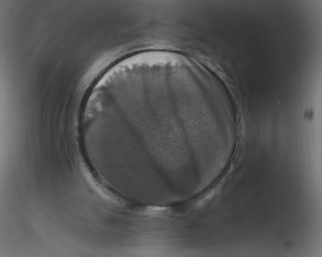 X0000116590055200912312044