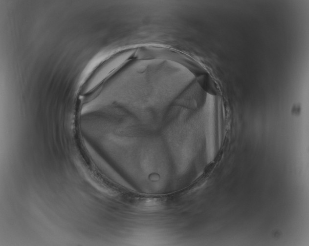 X0000116590056200912312044