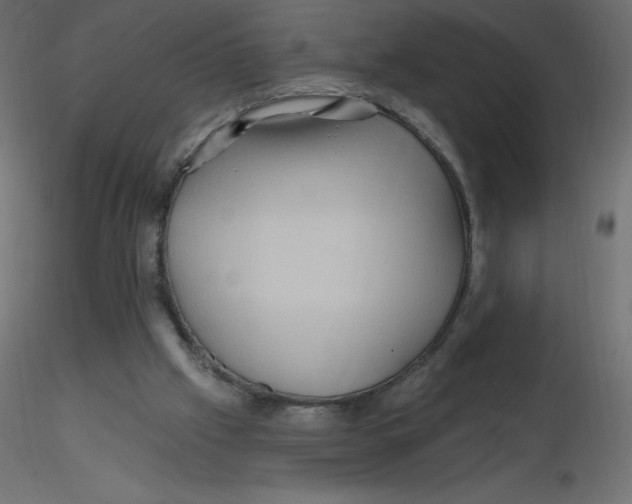 X0000116590057200912312044