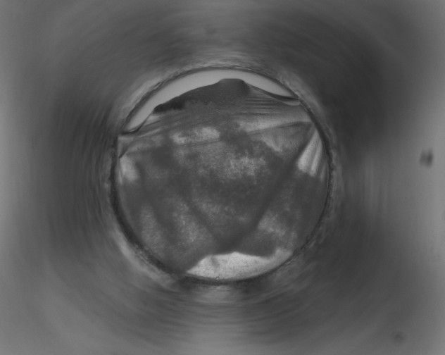 X0000116590058200912312044