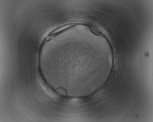 X0000116590059200912312044