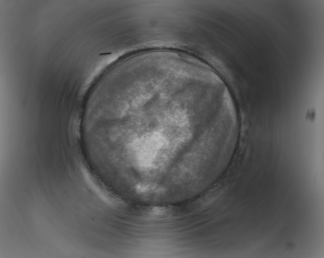 X0000116590060200912312044