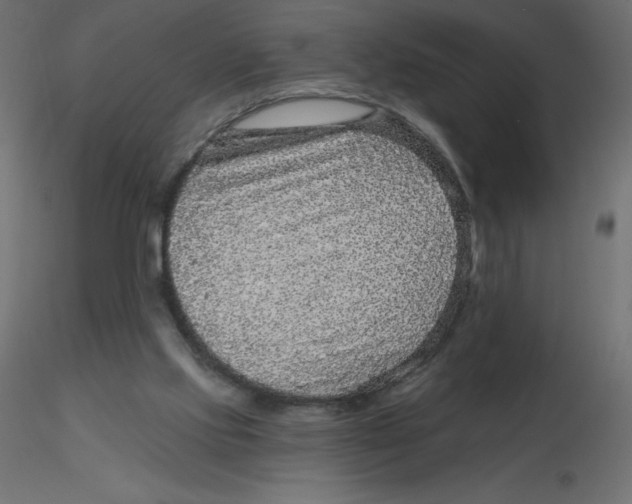 X0000116590061200912312044