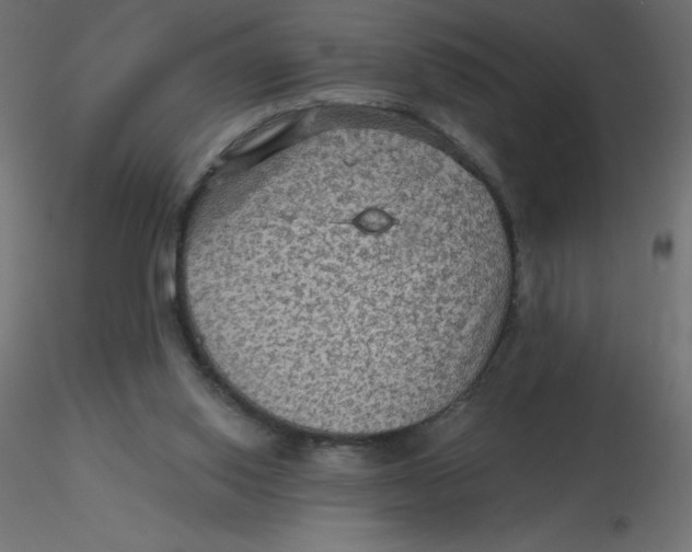 X0000116590062200912312045