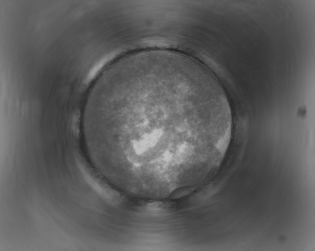 X0000116590064200912312045