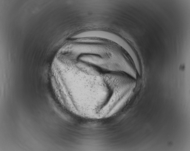 X0000116590065200912312045